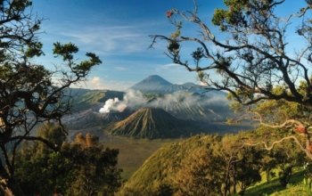 Bromo Ijen Tumpak Sewu Sharing Tour dari Malang