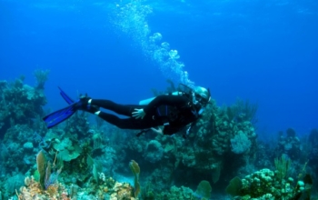 Lawatan Perkongsian Banyuwangi 3H2M